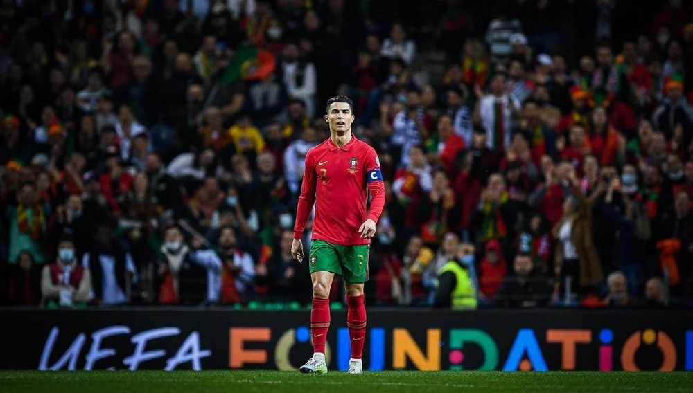 也再次证明 也再次证明